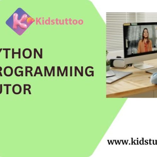 Python programming tutor